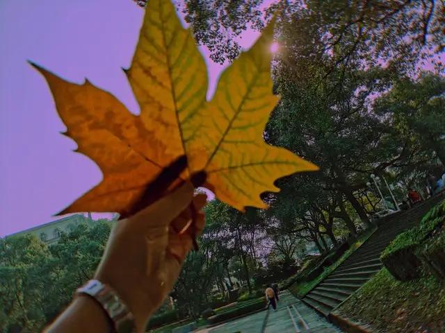 人没本事,一看就知:没本事的人,身上都有这3个毛病,非常准!