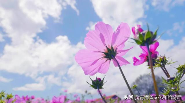 青海湖的秋天，才不是“淡季”