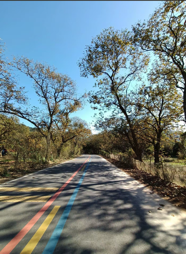 拒绝“冬懒”！鹰潭初冬运动指南：登山、骑行，在风景中唤醒活力【全球学子嘉游赣 奇绝鹰潭逍遥游】