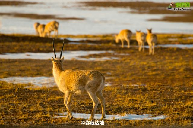 中国最低存在感的省份偏偏最幸运，一省跨三区，除了海什么都有！