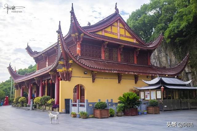 临崖而建的萧山福庆寺,来历有点神秘却香火旺盛,当地影响力甚广