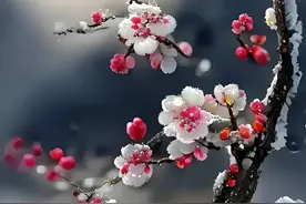 八句宽心话，好好看看吧！图片