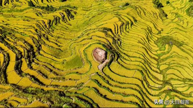 崇山峻岭间，英川镇凤凰寨梯田，以其千年积淀的农耕智慧静默矗立