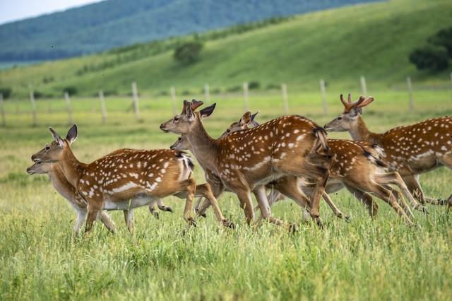我跟女友在海南三亚吹了半年海风，终于明白，为啥全挤三亚了