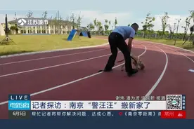 警犬们的宿舍长啥样? 沉浸式看警营汪汪队大练兵图片