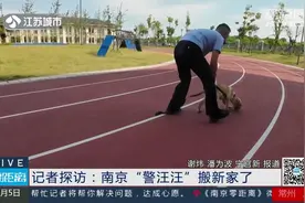 警犬们的宿舍长啥样? 沉浸式看警营汪汪队大练兵图片