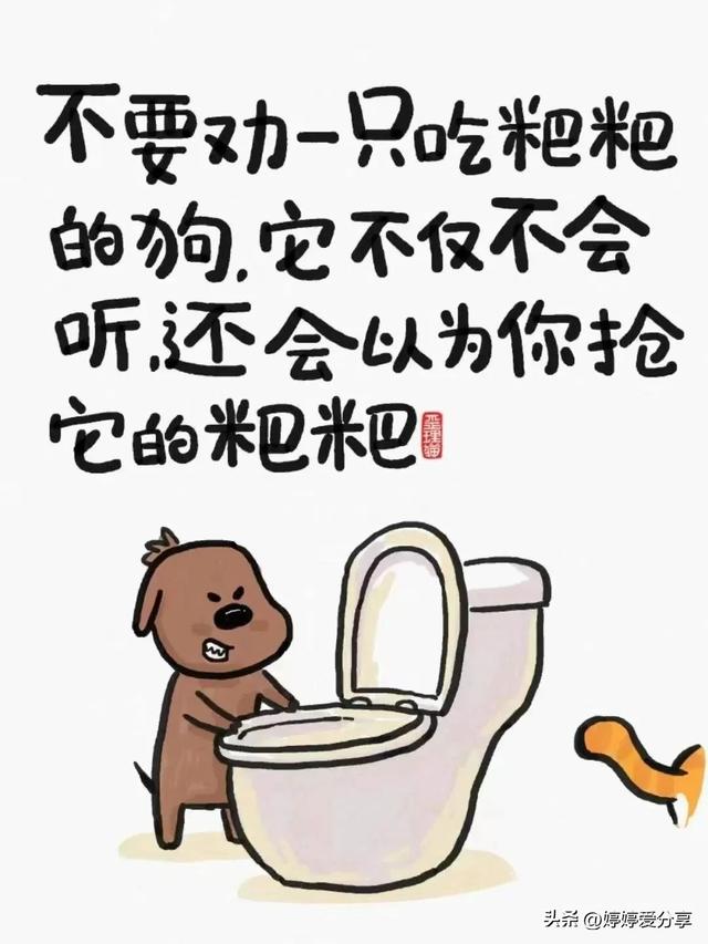 歪理漫画，歪的很有道理🔥🔥