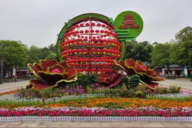 岳阳文旅发布一系列优惠政策图片