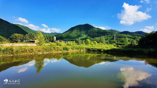 秦州区李子园成为最火爆避暑打卡地,旅游经济迎来新增长点!