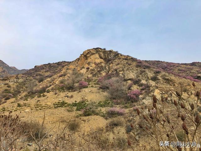 包头市土默特右旗部分文物保护单位考察笔记（上）