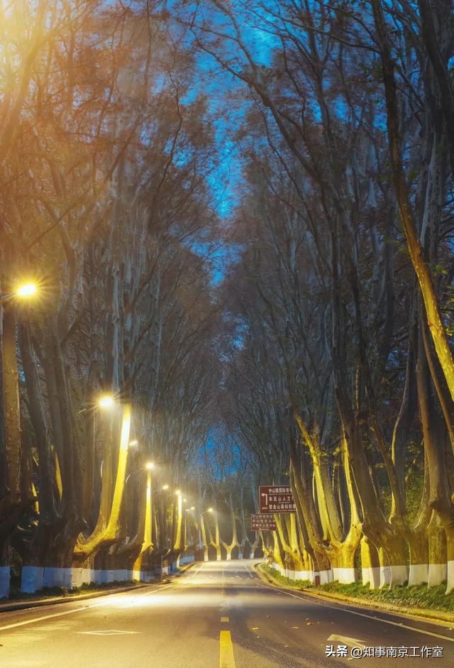 51张照片告诉你，南京的秋天有多美！