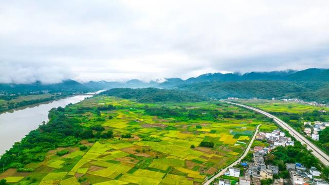多彩阳山·每日一景｜田园风光
