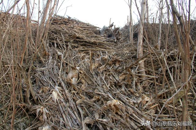 这一次外出闲游感慨颇多