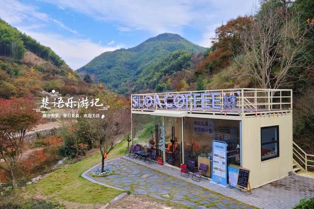 宁波余姚的夫妻银杏又火了，树边的溪上休闲空间超美，好拍又好玩