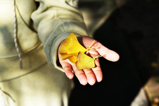 五上径山（游径山寺）