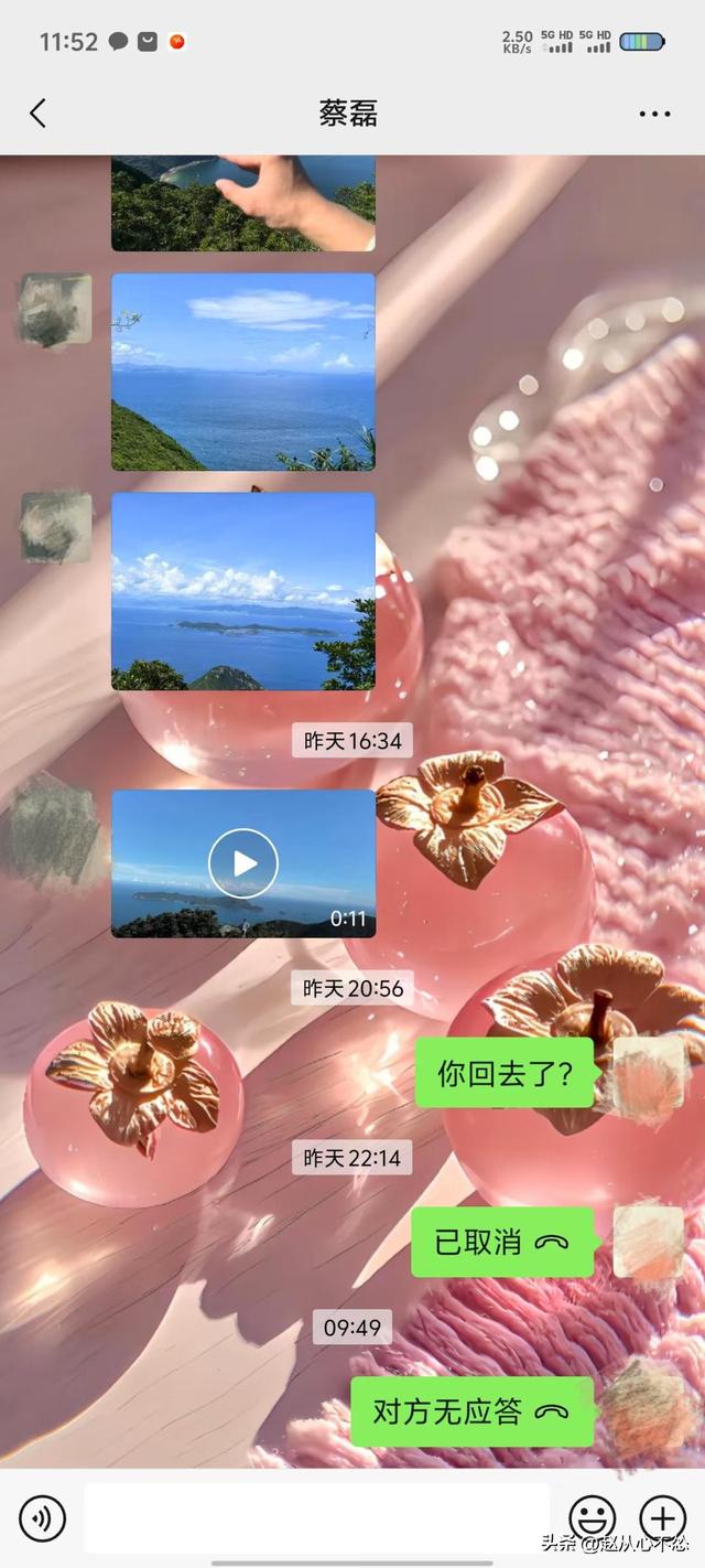 蔡磊遗骸已找到：驴友偶然发现，身首分离太凄惨，离民居仅数百米
