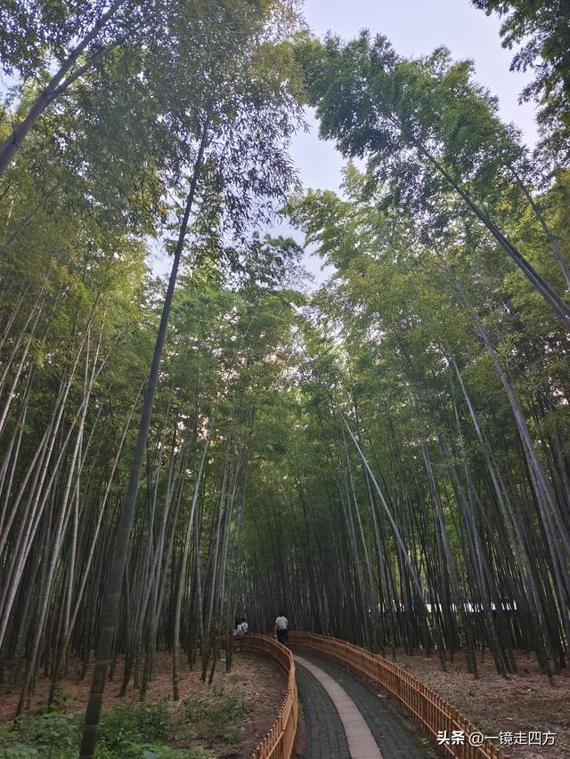 苏州虎丘打造夜游庙会迎双节，闭园时间延长到晚上九点