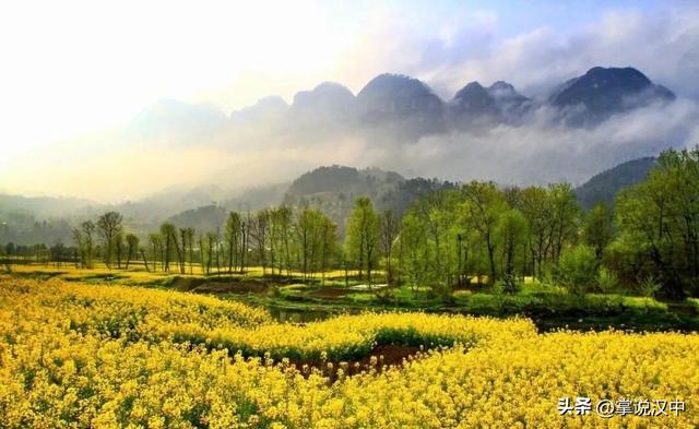 2026最美油菜花海汉中春季文化旅游季游玩全攻略