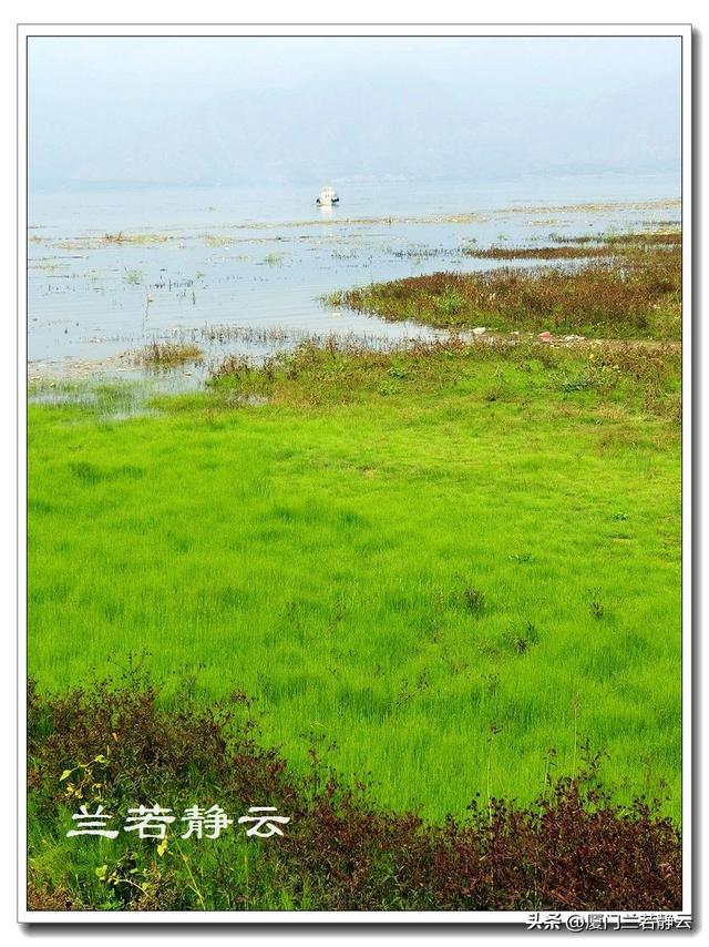 甘肃永靖：天然的“鸳鸯火锅”奇观 - 黄洮交汇处