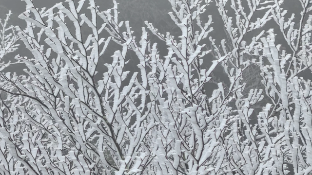 朋友圈C位预告！韶关雾凇限时上线，这片赏冰秘境地图等你来打卡