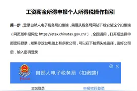 工资薪金所得申报个人所得税操作指引，附个税申报表及自动计算图片