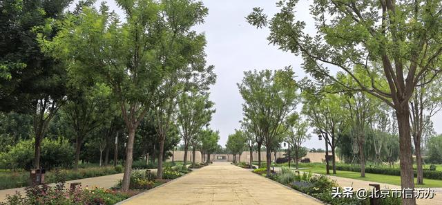 #京城消夏好去处#遗址上的汉风园林——路县故城遗址公园