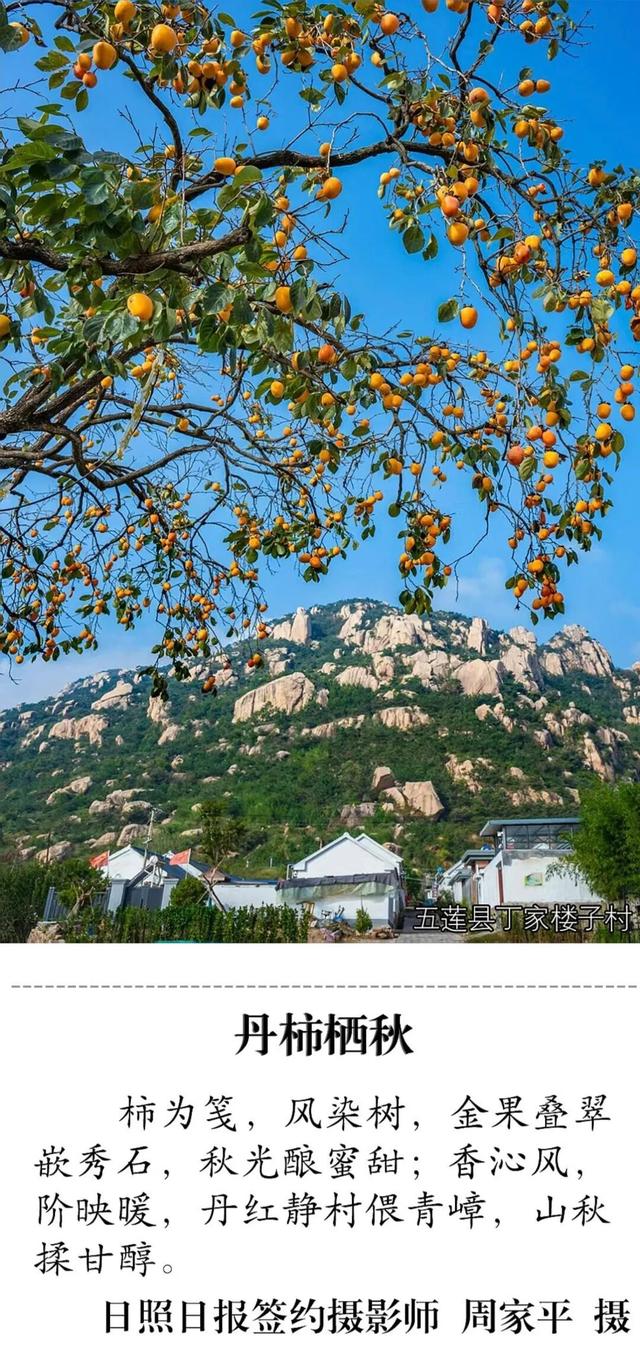 强烈推荐！超级安利！日照这些秋景丝毫不输……