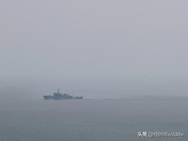 大连海之韵公园·棒槌岛