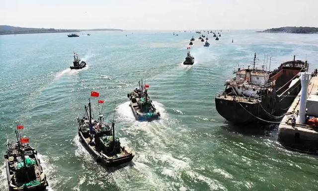 敏鱼胶一斤多少钱 2026年鱼胶价格一斤多少钱 敏鱼胶一斤多少钱 2026年鱼胶价格一斤多少钱