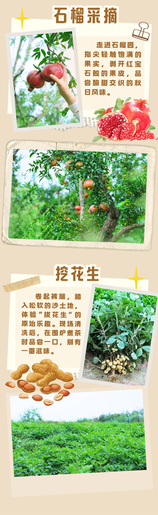 好多人啊！初秋金堂这个“橘”你去了吗