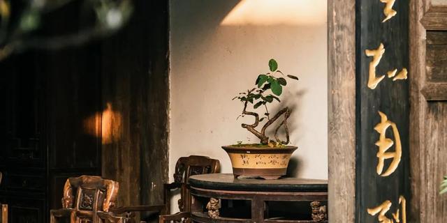 张家港很火的「线路」，后悔没早点去打卡