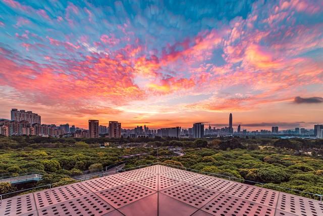 爆了【深圳福田攻略】99%游客错过！CBD里竟藏着一座“天空之城”