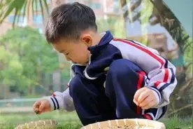 家园社一体“造梦、圆梦”，打造儿童友好的梦想乐园图片