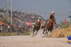 这一站，贵州丨深山里的水族，为何被称为“马背上的民族”图片