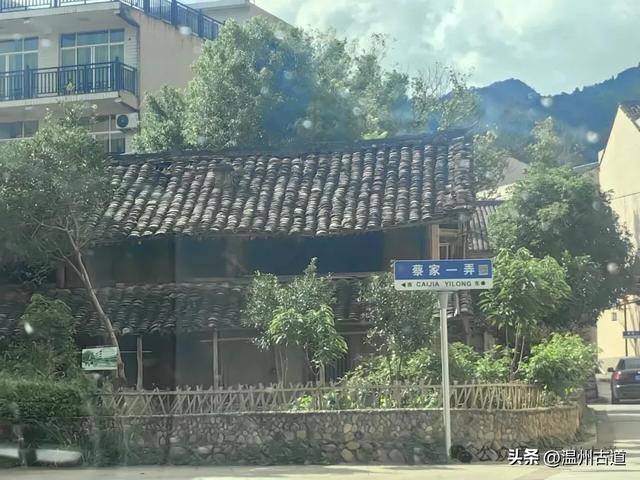 温州这个古镇不仅山水环绕、人文荟萃，更有着丰富的红色文化资源