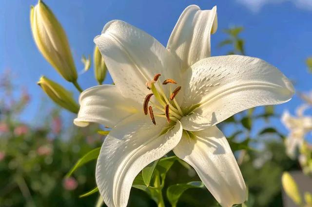 儿子订婚女方用验钞机点彩礼,我坚决取消订婚,女方道歉也不行