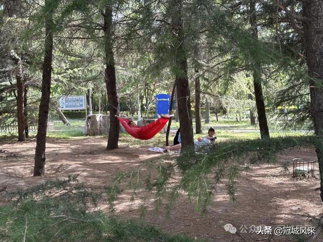 生活在冠县这座小城