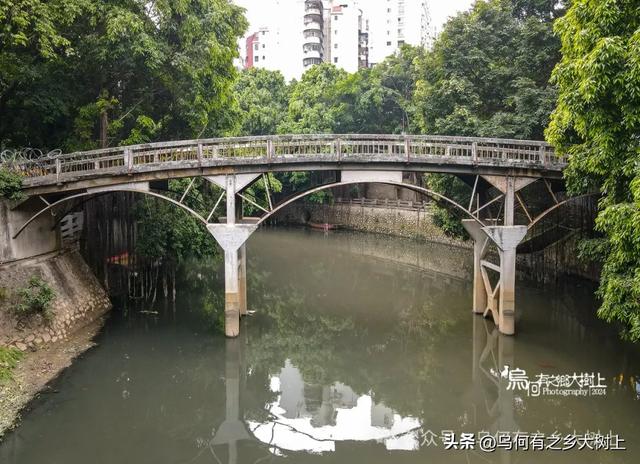 它是南宁第一座铁桥，仅花费8000元建成，如今已成危桥被废弃