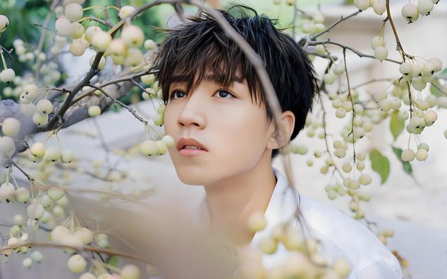 全红婵一句话让王俊凯掉粉10万！评论区吵翻：奥运冠军招谁惹谁了