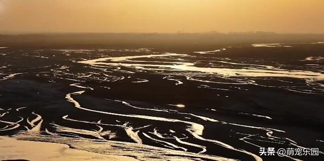 民丰县黄昏时分，尼雅河畔惊现灰鹤群，夕阳下美得让人窒息