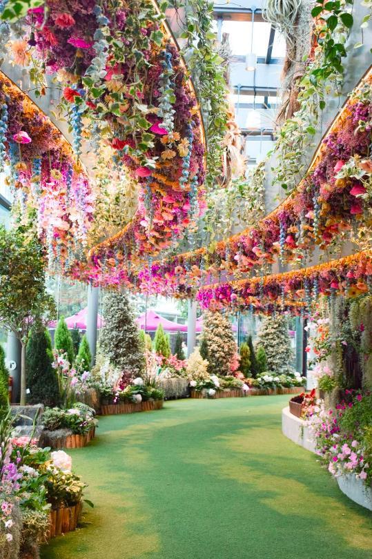 立春过后，来海淀赴一场繁花之约