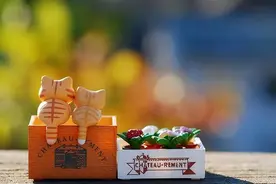 已婚男人爱上你，不是因为颜值，也不是因为爱情，而是因为这一点图片