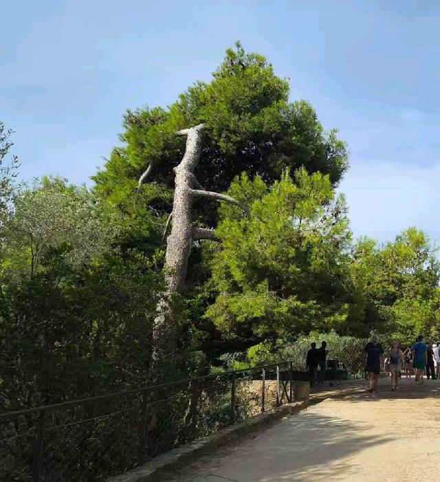 游览西班牙的奎尔公园