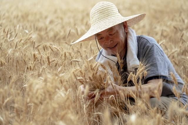 “不怕小雪阴一天，就怕小雪一天晴”，今日小雪，晴天有啥预兆？