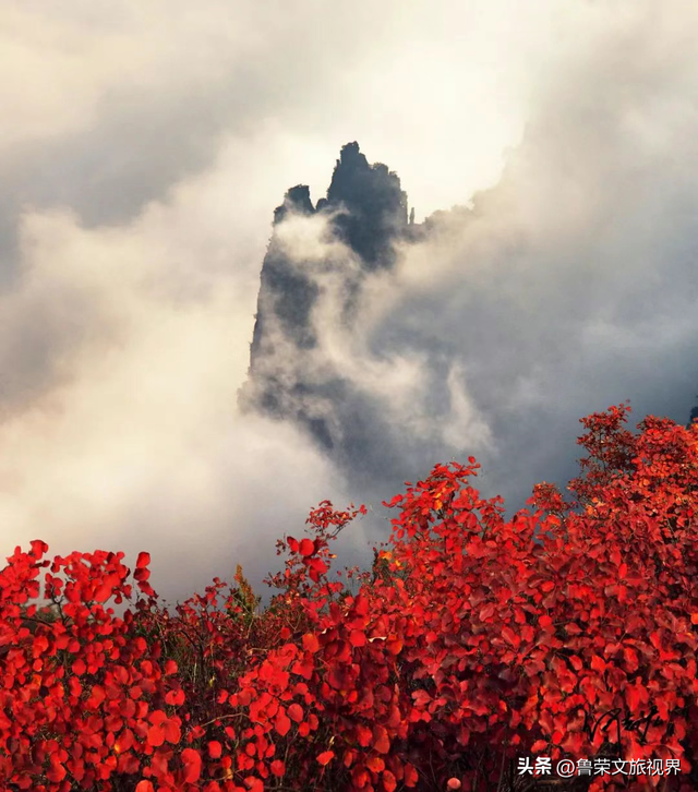 徒步三峡：霜叶漫山处，一步一千年