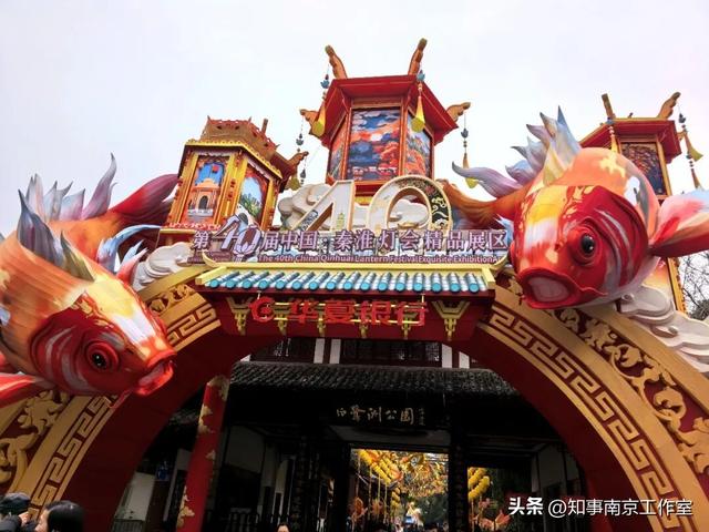 当整个南京都在追光，我在白鹭洲等一场灯与影的相逢