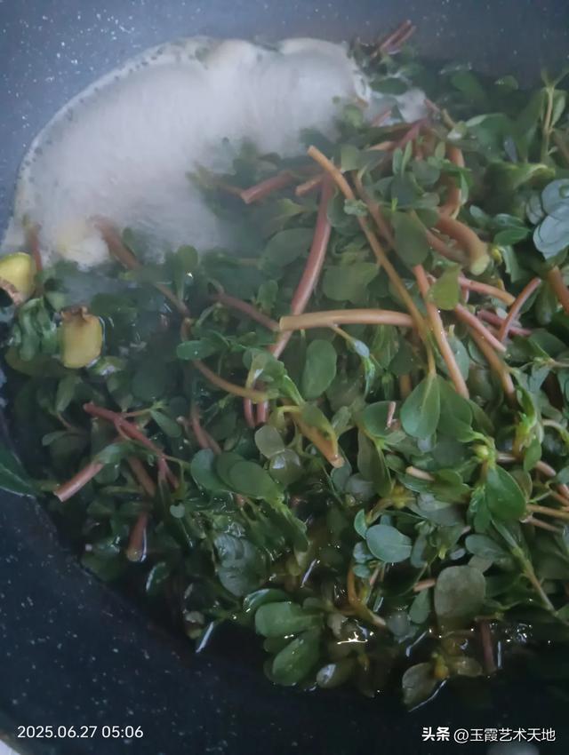 这样吃马齿苋更健康，更有营养，并且能够祛湿