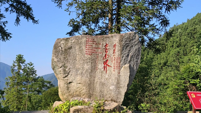 舜帝三临的"南方植物王国"：藏着长征记忆与千年茶香的"大山里"