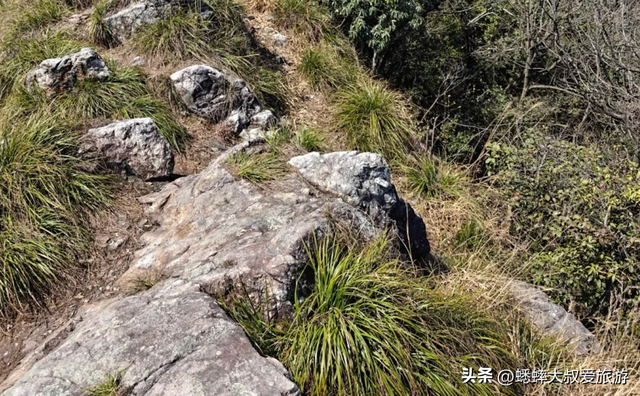 来挑战杭州7公里“名人环线古道”吧，全程5小时，真野路，超松弛