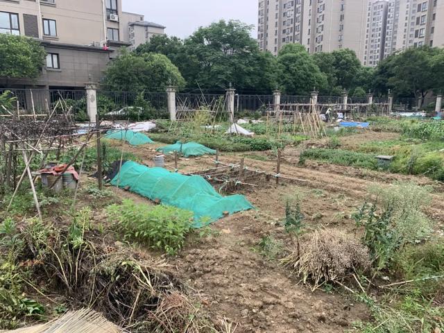 江阴这些园林，你逛过了吗？